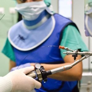 Curso de Endourología Veterinaria