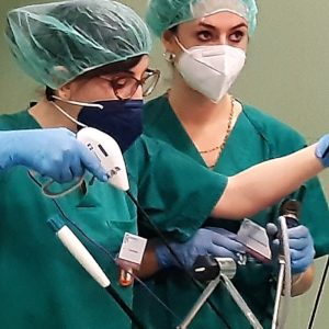 Curso de Cirugía Laparoscópica y Toracoscópica Veterinaria 