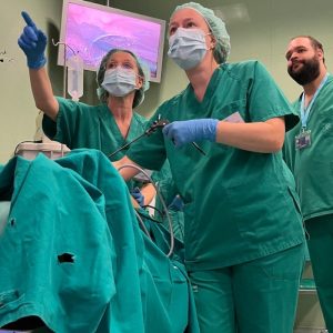 Pediatric Laparoscopic Urologic Surgery and Endourology Course