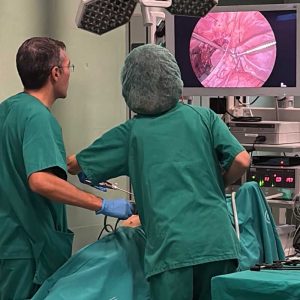 Curso experimental de Colposacropexia Laparoscópica